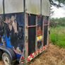 Horsebox Image 3