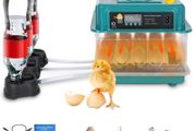 6-20 Eggs Eggs Automatic Turning, Humidity Control, Temperature Control:AVAILABLE FOR COLLECTION