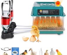 6-20 Eggs Eggs Automatic Turning, Humidity Control, Temperature Control:AVAILABLE FOR COLLECTION