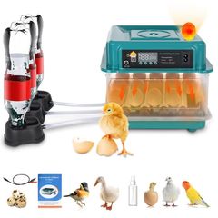 6-20 Eggs Eggs Automatic Turning, Humidity Control, Temperature Control:AVAILABLE FOR COLLECTION