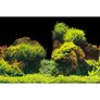 Rock-Plants background 150x60cm Image 2