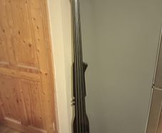 Bass