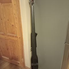Bass