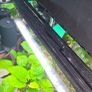 aquarium light aquasky fluval Image 5