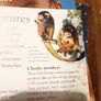 Rainforest Eyewonder Enter A World Of Discovery Image 4