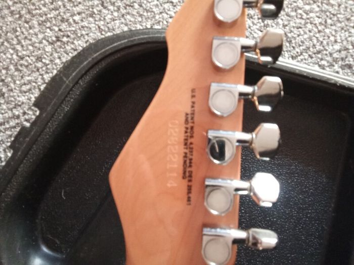 Peavey predator