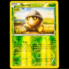 Seedot 9/114 Reverse Holo Common XY Steam Siege Pokemon Card
