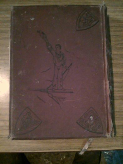 Book: The Boy's Own Annual