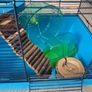 hamster cage and accessories Image 3