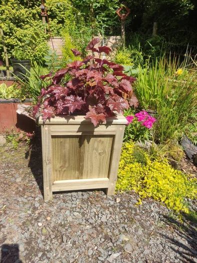 Planter Box (Square)