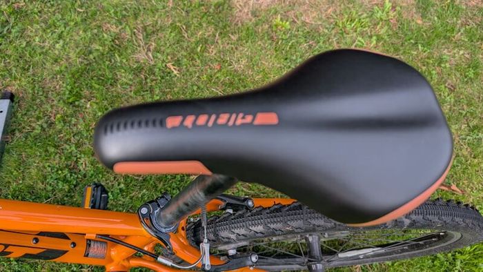 Giant Arx 24 kids bike