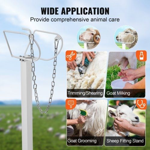 Goat & Sheep Stand, 47x23 inch Livestock Stand, Metal Livestock Milking and Shearing Stand 21" to 33" Adjustable Height