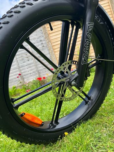 Fiido Titan E-bike