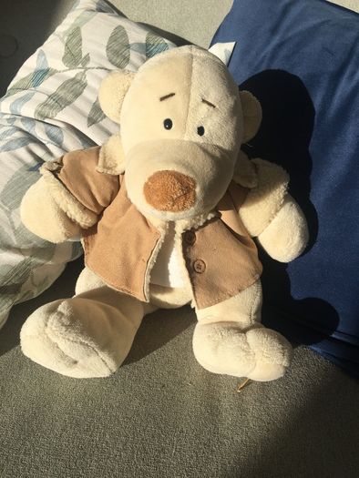 Quality soft toy teddy.