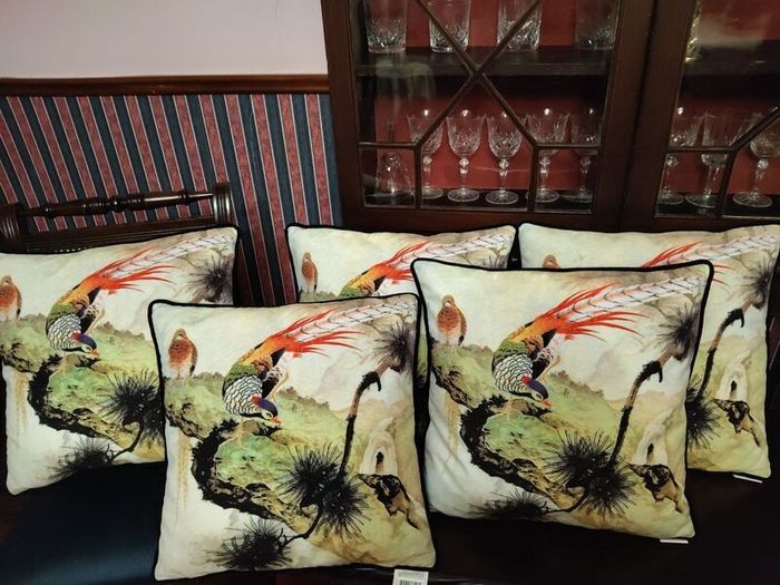 Cushions x5