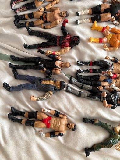 wwe 50 wrestlers action figure lot