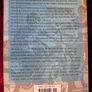 Irish Travellers / Representations & Realities / Dr. Michael Hayes /1st ed. 2006 Image 2