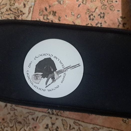 banjo case