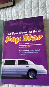 So you want to be a popstar