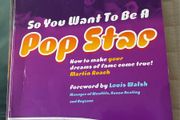 So you want to be a popstar