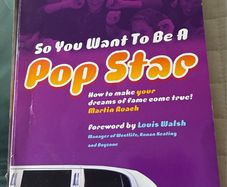 So you want to be a popstar