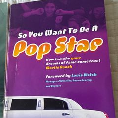 So you want to be a popstar