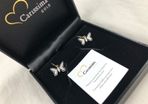 Carisimmia Gold Women's 9 Carat Gold earrings NEW