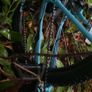 GT Aggressor Image 2