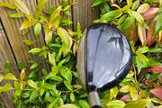7 Wood