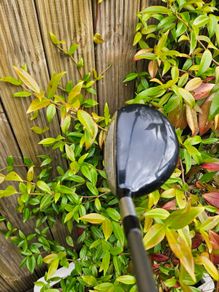 7 Wood