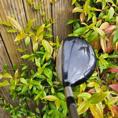 7 Wood