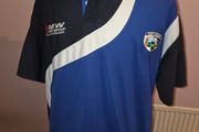 Laois GAA Polo Jersey - Extra Large size