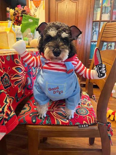 Pet Halloween Fun Killer Outfit