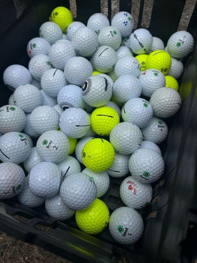 20 Seed Golf Balls