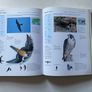 Birds (also published as Encyclopedia of Birds) Image 4