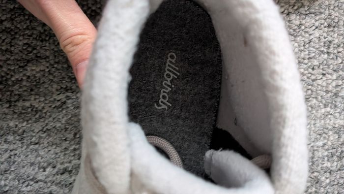 Allbirds Women's Wool Trainers (EU37.5)