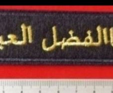 Syrian Civil War , Abu al -fadl al-abas brigade  , pro assad militia.
