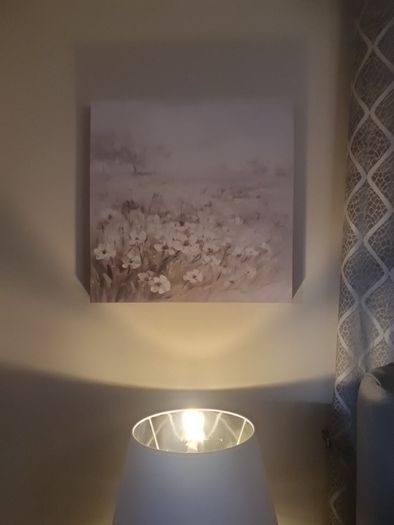 TWO matching  Canvas prints