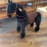 Ride on Pony Image 2