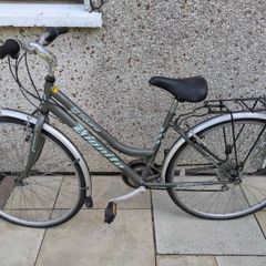Vintage Raleigh Traverse Altimetric Series mountain bike