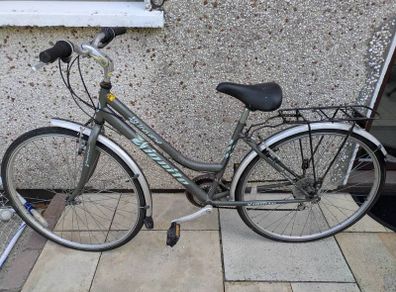 Vintage Raleigh Traverse Altimetric Series mountain bike