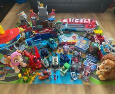 Paw patrol full kit out