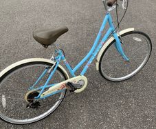 Ladies Bike