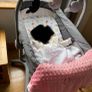 Baby bassinet/crib Image 3