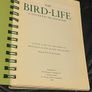The Bird-Life in Mustique in The Grenadines Michael Pace and Rob Speirs Image 3