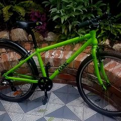 Kids 69 frog bike