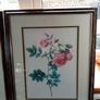 Framed Prints Image 8