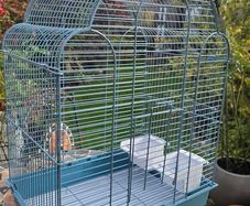 New bird cage