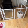 Acrylic Dog Playpen Image 2