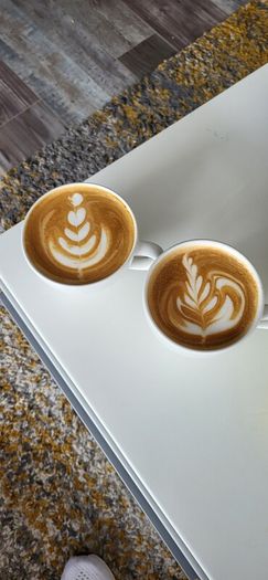Sage Oracle Dual Boiler Espresso Machine